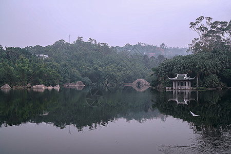 福建厦门公园水域高清图片素材