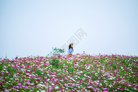 花团锦簇围绕的美女写真背景图片