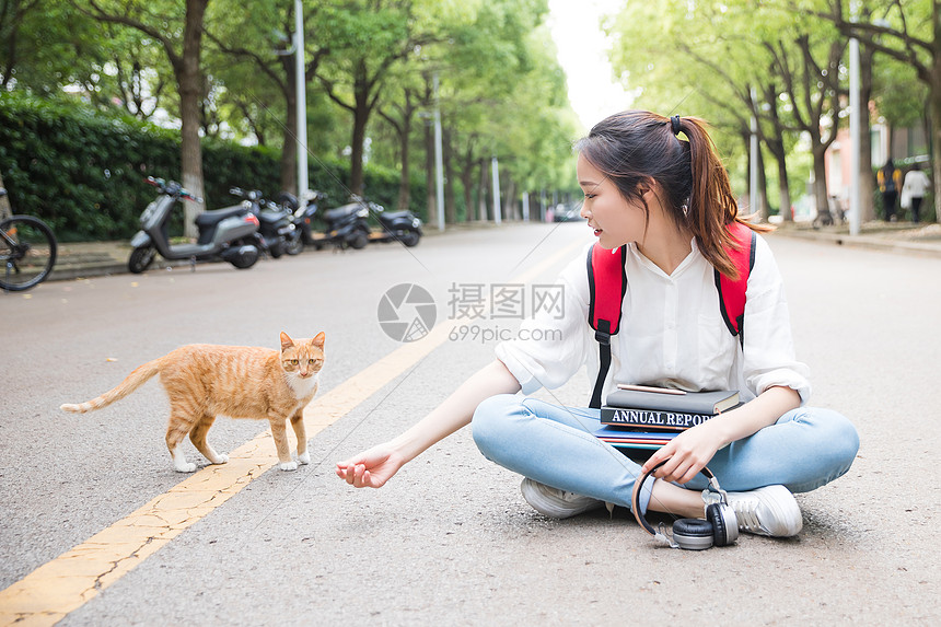 毕业季青春学生和猫图片