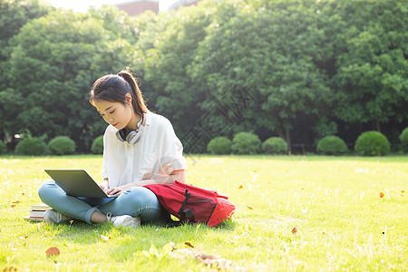 青春大学生草地上学习图片