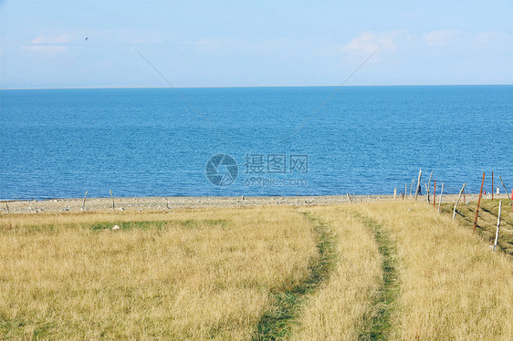 青海湖秋景图片