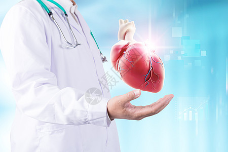 医疗心脏器官图片