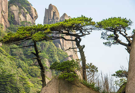 锦绣三清山图片