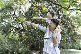 父子公园踏青图片