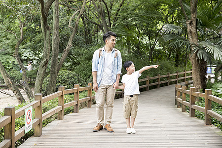 父亲节日父子公园踏青背景