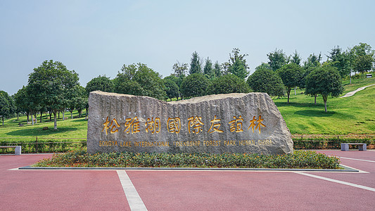 长沙地标松雅湖湖南松雅湖国际友谊林背景