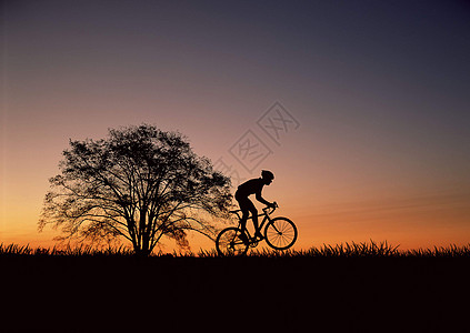   夕阳骑车人剪影  背景图片