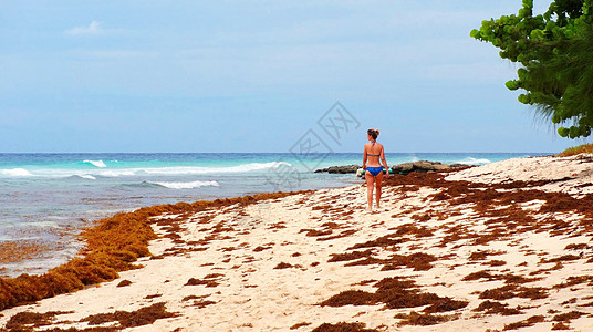 沙滩上的红色海草与少女图片