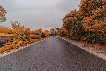 暴雨来临前的欧式小镇风光背景