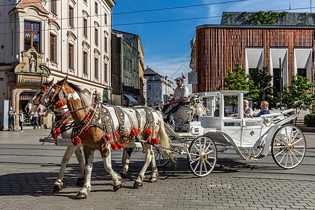 波兰克拉科夫老城城市游览马车背景
