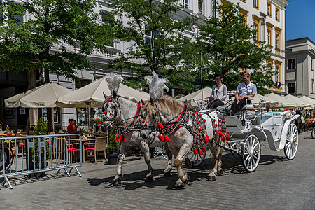 波兰克拉科夫老城城市游览马车背景图片