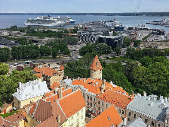 波罗的海沿岸中世纪古城爱沙尼亚塔林图片