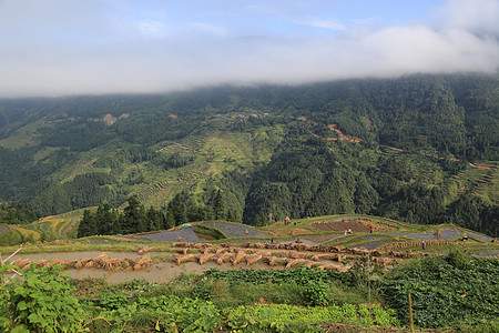 加傍梯田加榜梯田背景