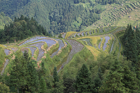 加傍梯田贵州加榜梯田背景