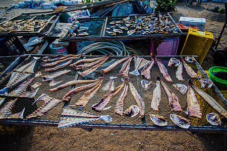 苏梅岛海鲜市场图片