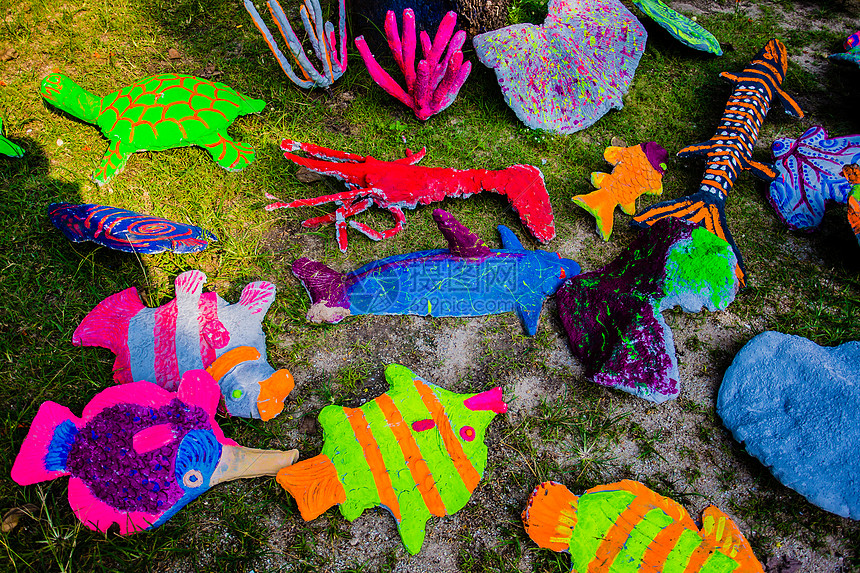 苏梅岛彩色石鱼图片