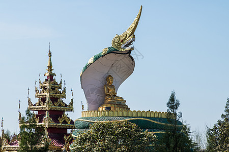 缅甸佛像缅甸佛殿前的蛇形佛像背景