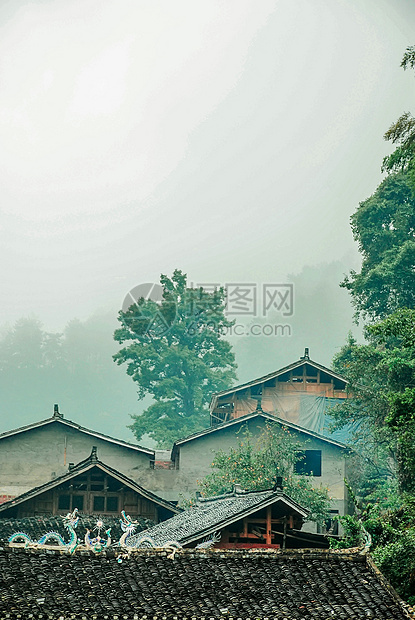 贵州侗寨树林图片