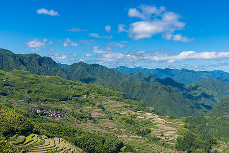 浙江夏季的梯田风光图片