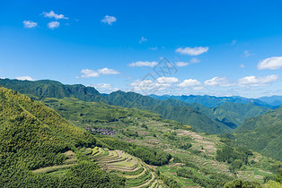 浙江夏季的梯田风光图片