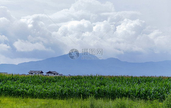 丽江纳西族村落图片