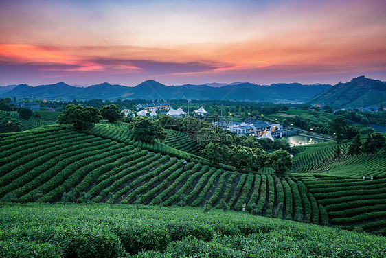 浙江安吉茶园别墅区夕阳图片