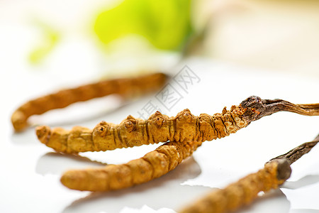 虫草特写草鱼片食材高清图片