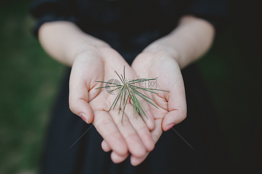 爱护植物小清新少女图图片