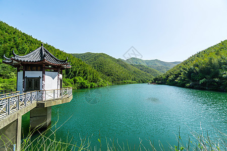 江苏溧阳南山竹海景区风光背景图片