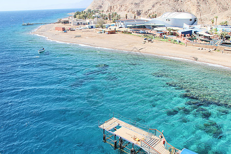 以色列埃特拉海洋馆背景图片