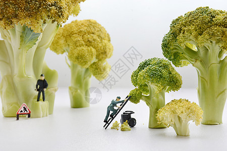 创意蔬菜食物高清图片