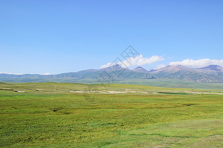 巴音郭楞新疆巴音布鲁克草原背景