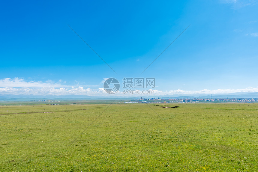 夏季青海草原风光图片