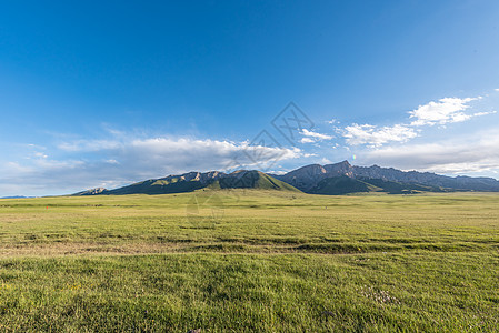 夏季青海草原风光背景图片