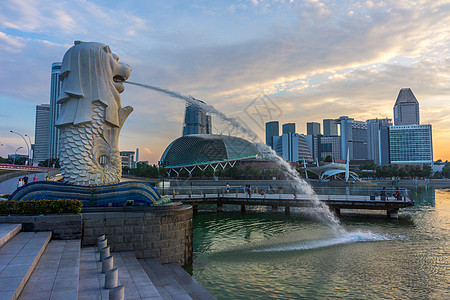 新加坡鱼尾狮公园图片