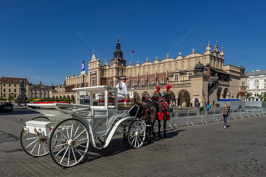波兰名城克拉科夫老城广场上的游览马车图片
