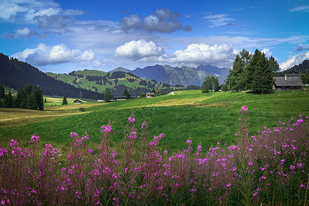 瑞士阿尔卑斯山区自然风光图片