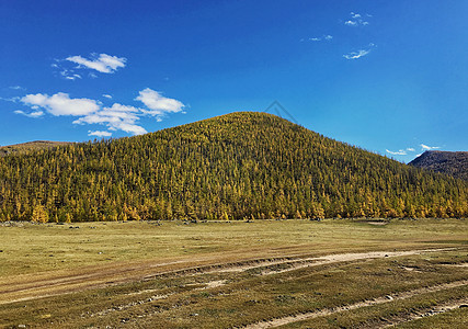 内蒙古大草原秋天风光图片