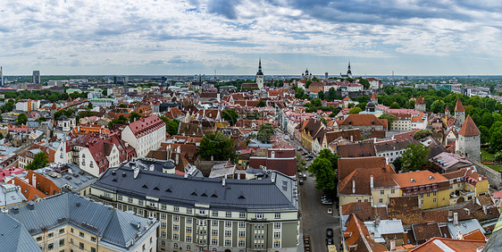 俯瞰爱沙尼亚首都塔林中世纪老城图片