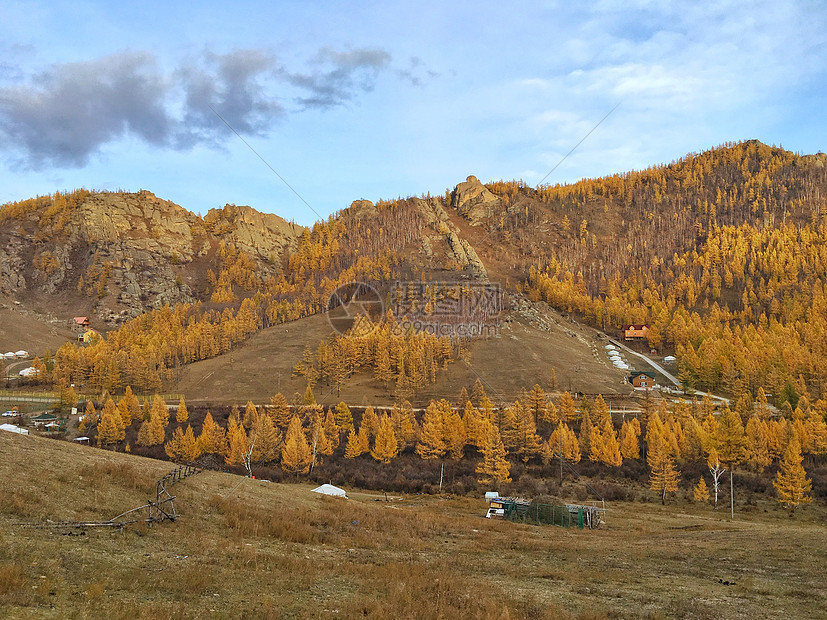 ‘~内蒙古莫尔道嘎国家森林公园秋色  ~’ 的图片