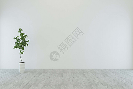 室内盆栽背景图片