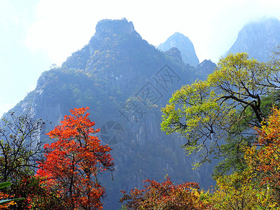 十里仙境燕子沟图片