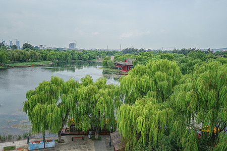 济南百脉泉济南章丘百脉泉风景区背景