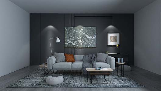 毛毯背景现代黑白灰客厅设计图片