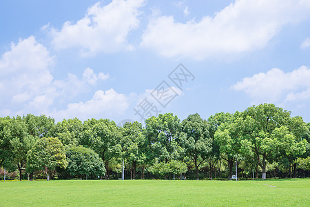 校园风景素材大学校园草地背景