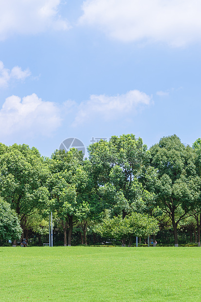 大学校园草地图片