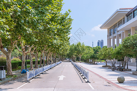 上海街景大学道路背景