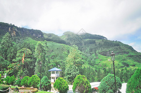 斯里兰卡茶园斯里兰卡努沃勒埃利耶茶园背景