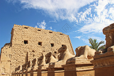 埃及旅游埃及卢克索卡尔纳克神庙背景