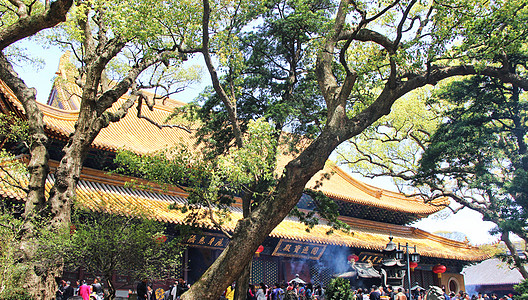 浙江普陀山浙江舟山普陀山普济寺背景